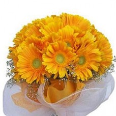 Sunshine Bundle of Yellow Gerberas